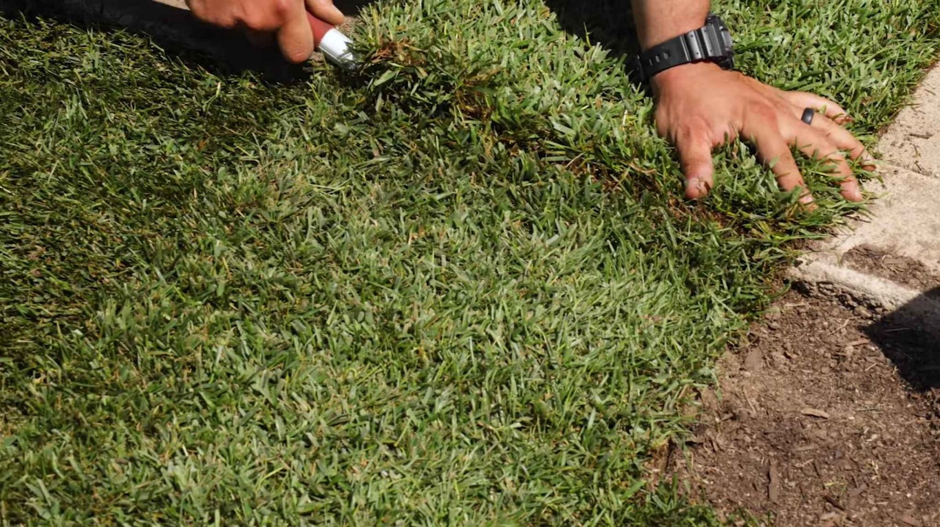 Professional lawn care and maintenance in Alhambra, CA